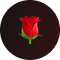 Rose icon